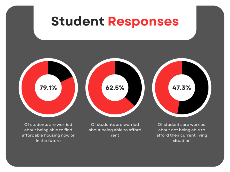 Student-Survey-responses.webp